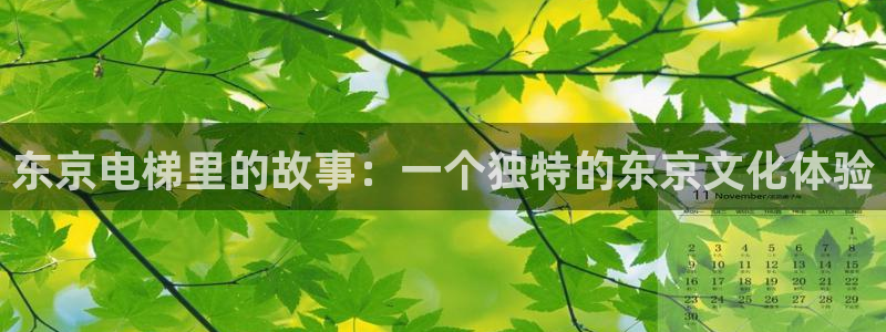 囧次元动漫下载app官网