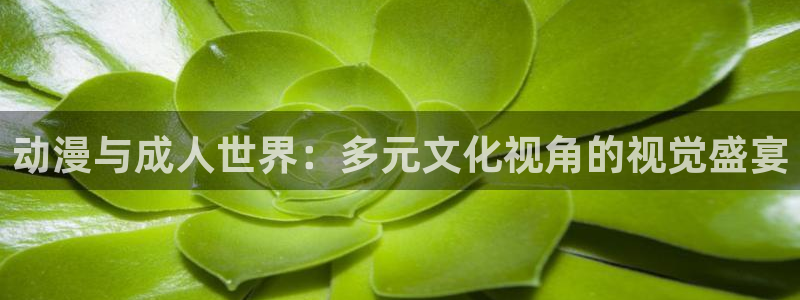正版囧次元