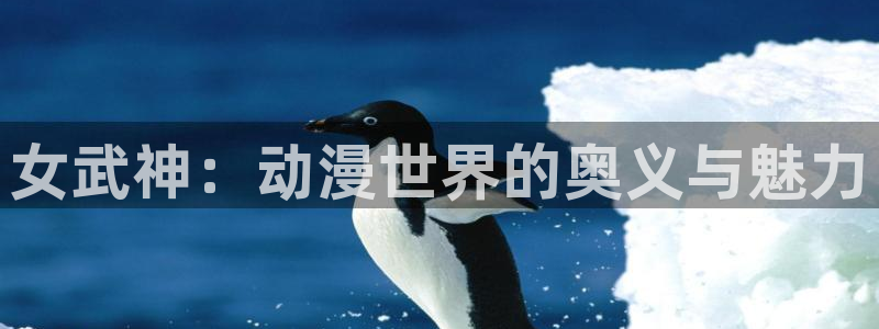 囧次元app下载官方版