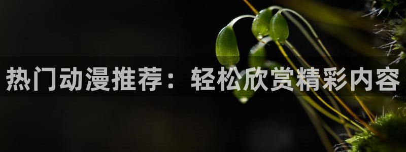 jcyapp.囧次元官网入口