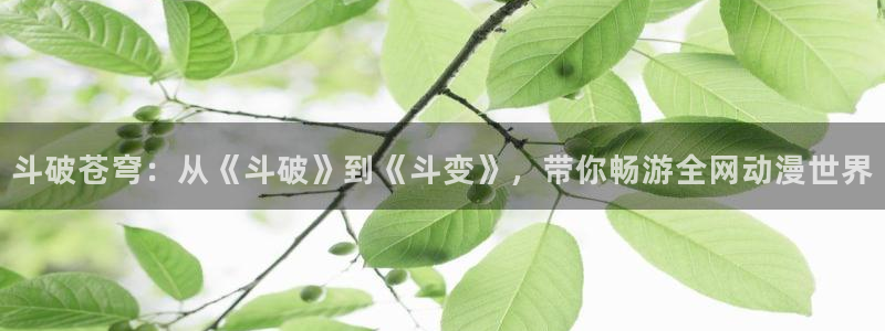 囧次元正版官网