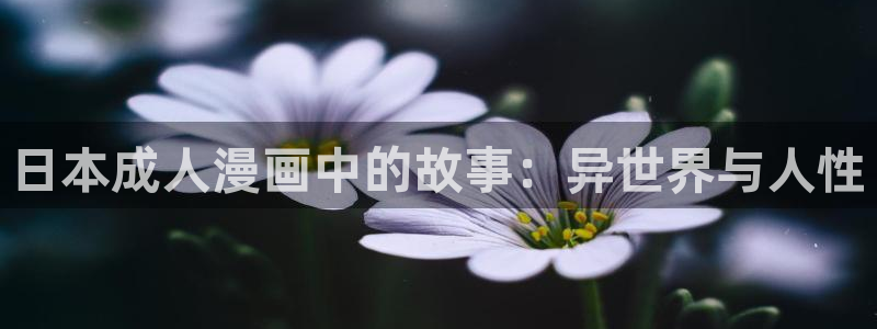囧次元最新版本下载官方正版
