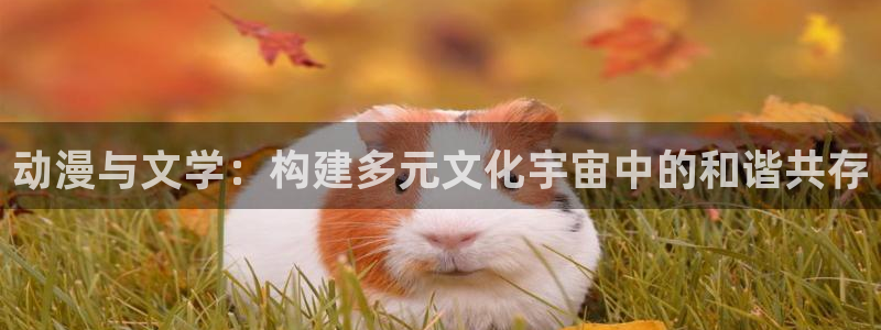 囧次元最新版官网下载