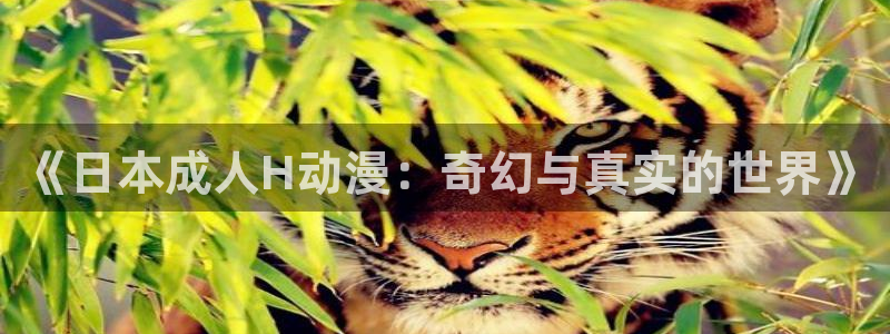 囧次元app最新