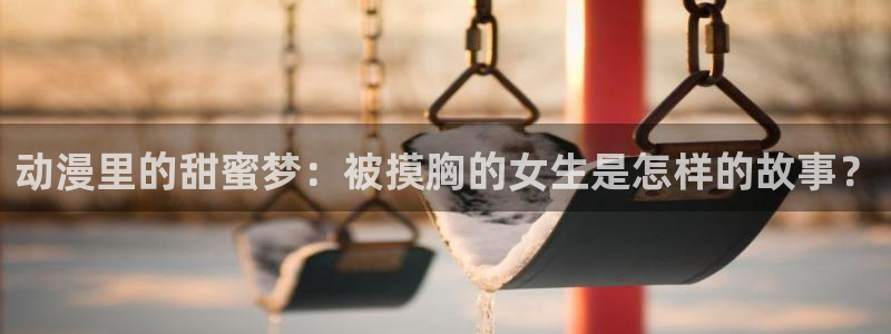正版囧次元