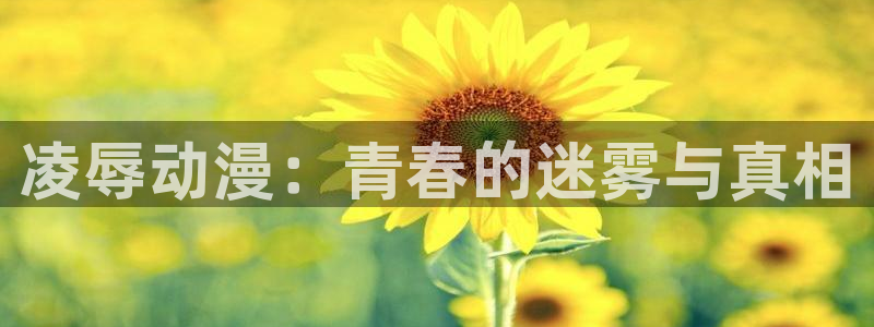 囧次元ios官网入口