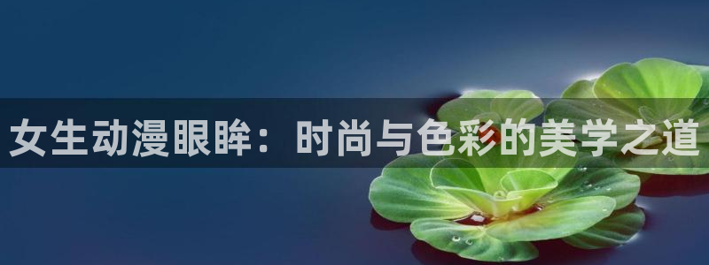 囧次元最新版官方正版