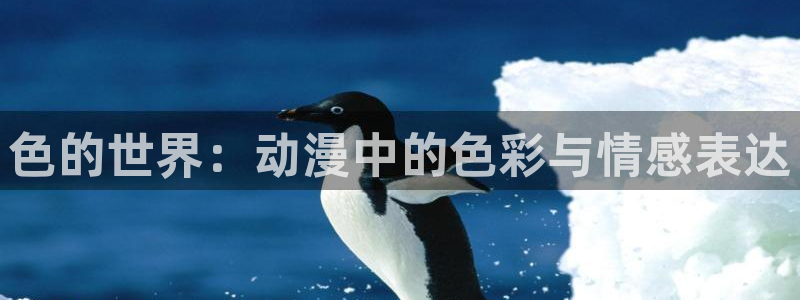 囧次元app下载官网版
