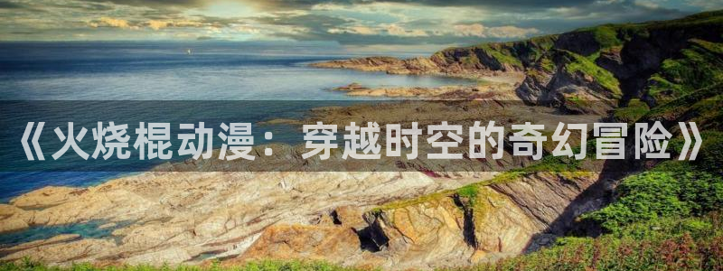 囧次元为什么打不开了