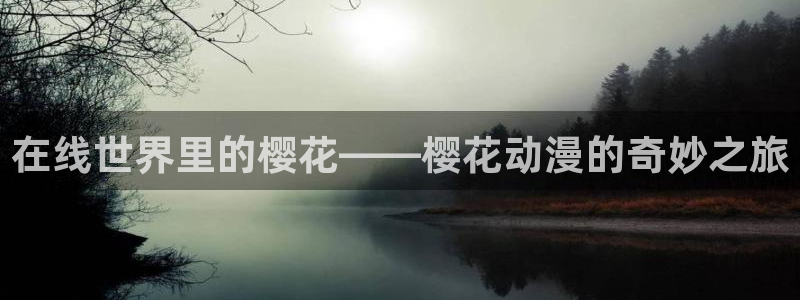 囧次元app官方版下载