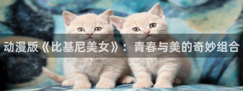 囧次元免费下载官方正版