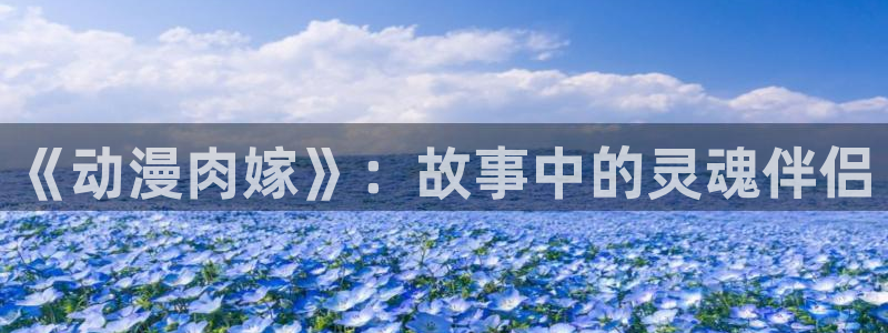 囧次元入口