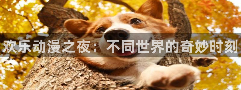囧次元苹果