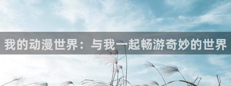 囧次元官方网站入口更新