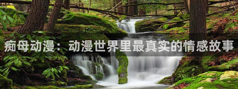 囧次元1