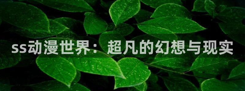 囧次元官方网