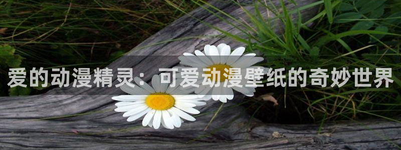 囧次元在线官网