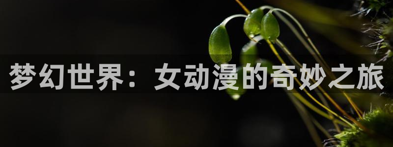jcapp囧次元官网入口