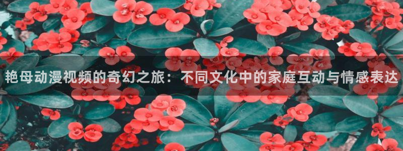 囧次元正版下载安装