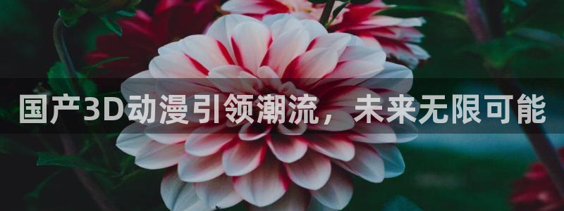 囧次元看动漫：国产3D动漫引领潮流，未来无限可能