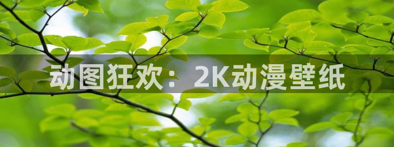 最新囧次元app下载：动图狂欢：2K动漫壁纸
