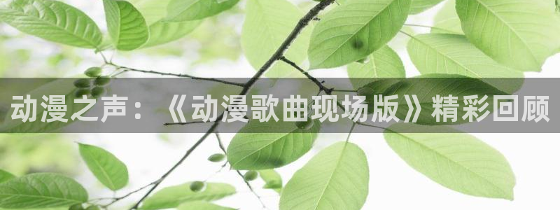 囧次元app下载官方版