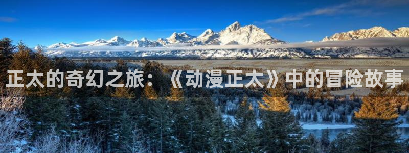 囧次元网页版入口