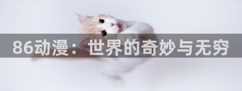 囧次元官方网页版