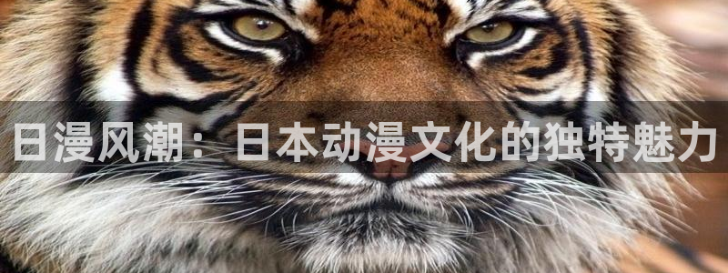 囧次元app官网下载
