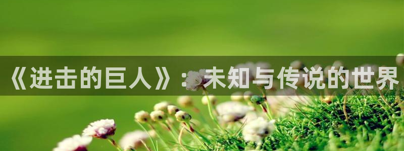 囧次元官方下载
