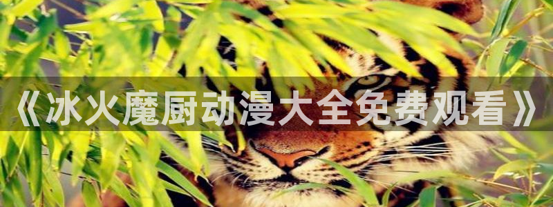 囧次元官方官网入口最新