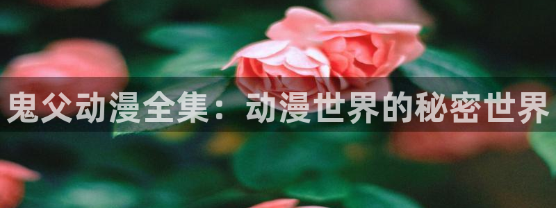 囧次元app正版