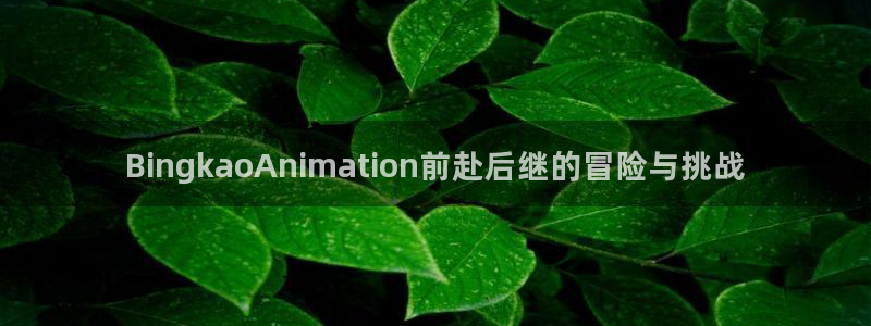 囧次元正版app下载网址