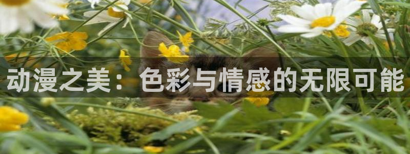 囧次元app下载官方版