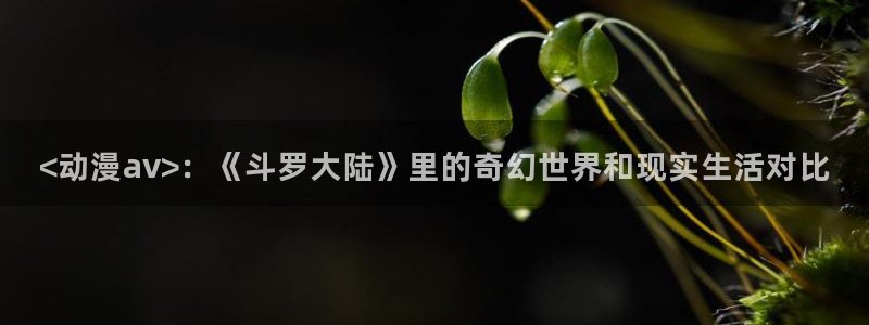 囧次元官方官网入口最新