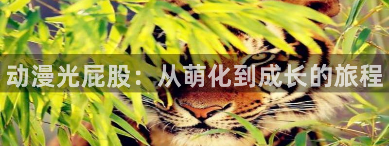 囧次元官方网站入口最新版本