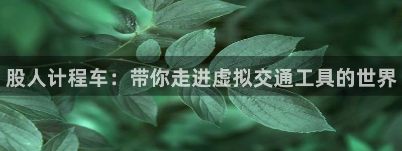 囧次元 翻译
