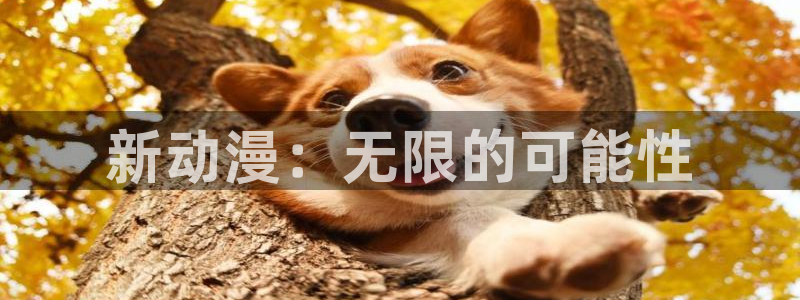 囧次元在线观看入口网址：新动漫：无限的可能性