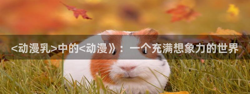 囧次元最新版下载