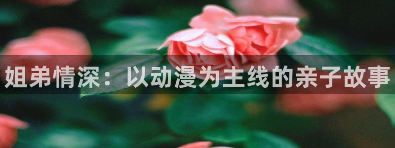 囧次元正版官网下载
