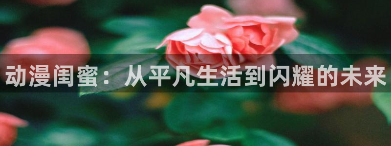 最新版囧次元app下载