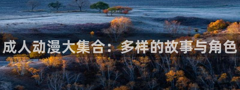 囧次元最新版本下载