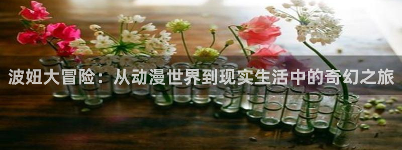 囧次元在线观看入口网址