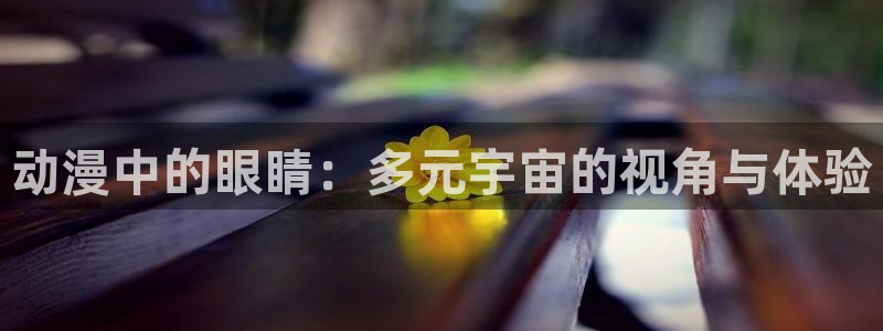 囧次元下载安装