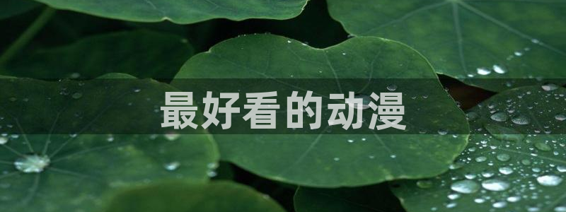 囧次元新版