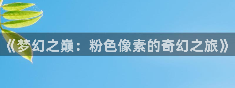囧次元tv版