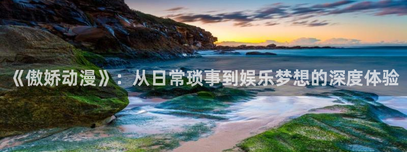 囧次元官方网站入口官网
