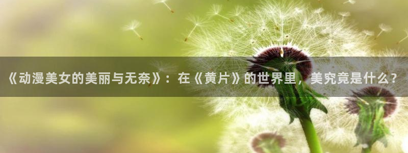 囧次元正版官方网址