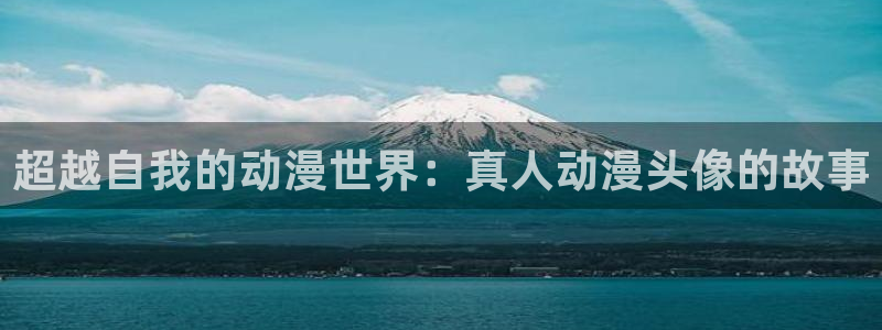 囧次元网页