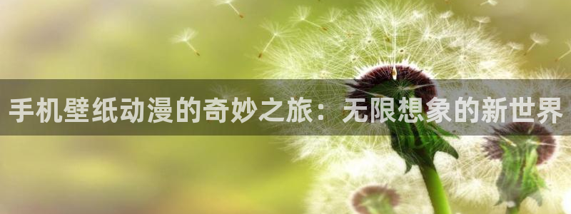 囧次元官网